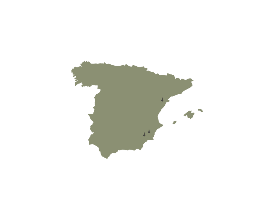 Cuenca mediterránea — Monastrell